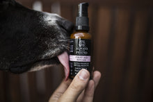 Afbeelding in Gallery-weergave laden, First Aid Skin Care
