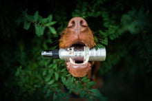 Afbeelding in Gallery-weergave laden, Fruit Friends The Playful Perfume
