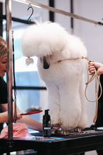 Load image into Gallery viewer, Paws Dry Shampoo
