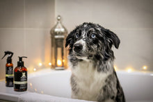 Afbeelding in Gallery-weergave laden, Keratin Repair Shampoo
