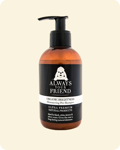 Organic Brightness Shampoo