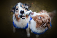 Afbeelding in Gallery-weergave laden, Puppy Powder Perfume
