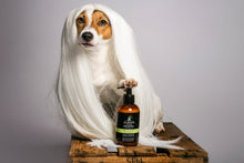 Afbeelding in Gallery-weergave laden, Rejuvenation Conditioner
