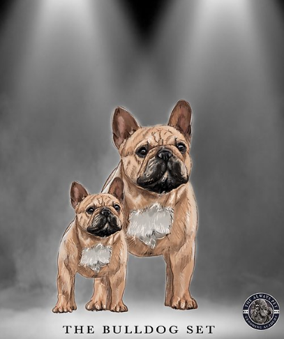 Bulldog Set