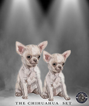 Afbeelding in Gallery-weergave laden, Chihuahua Set
