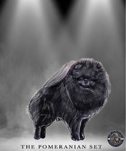 Afbeelding in Gallery-weergave laden, Pomeranian Show Set
